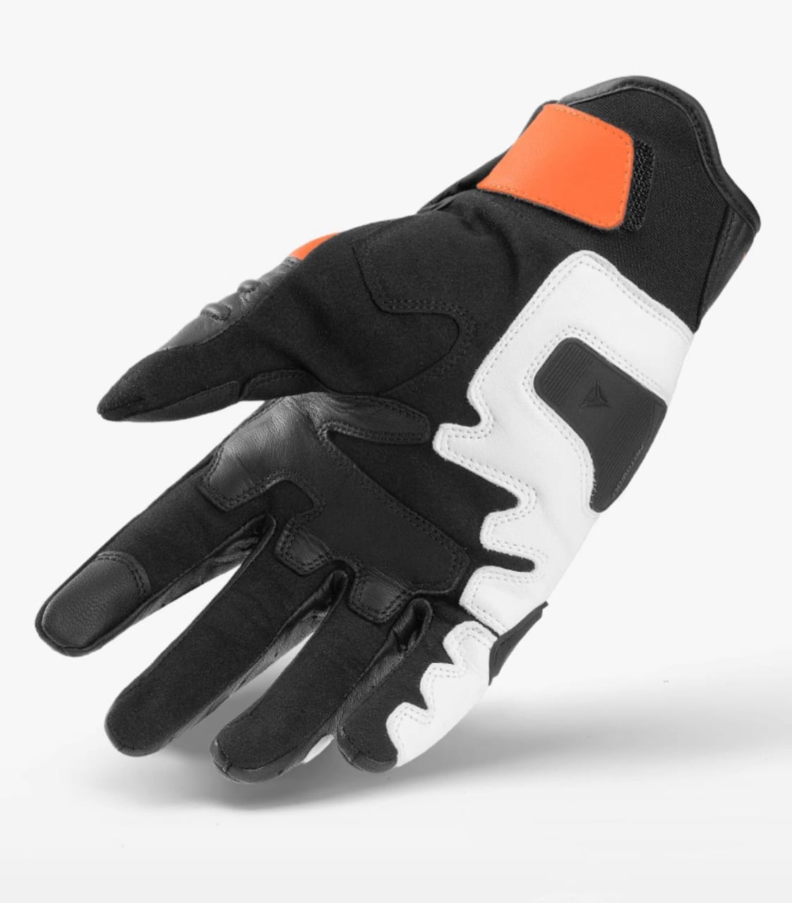 motowolf-short-leather0348-19-53-47-eW.jpg